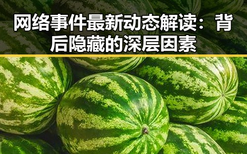 网络事件最新动态解读:背后隐藏的深层因素