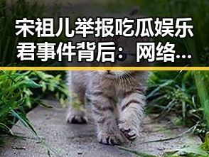宋祖儿举报吃瓜娱乐君事件背后:网络虚假信息的隐患与娱乐圈乱象